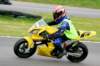 img_6451_small.jpg