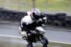 img_8073_small.jpg