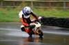 img_8101_small.jpg
