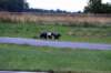 img_8265_small.jpg