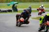 img_8526_small.jpg