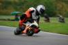 img_8617_small.jpg