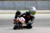 img_5429_small.jpg