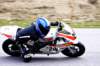 img_4550_small.jpg