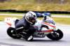 img_4573copy_small.jpg